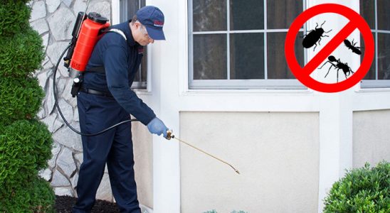 Sütçüler Hamam Böceği İlaçlama böcek ilaçlama ve haşere kontrolü — ilaclama-tr.com